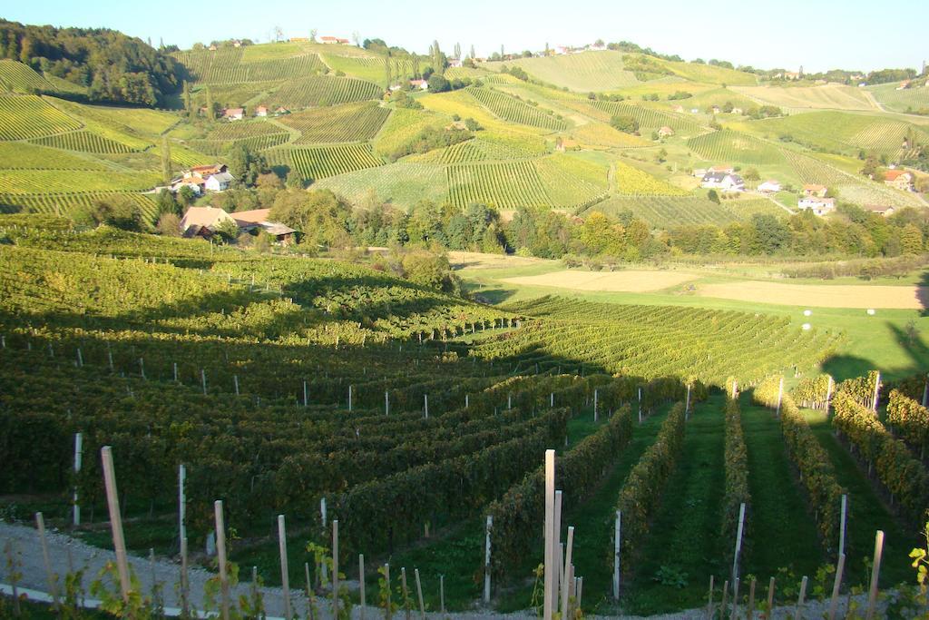 Farm Stay Jarc Vineyard Svecina Екстер'єр фото