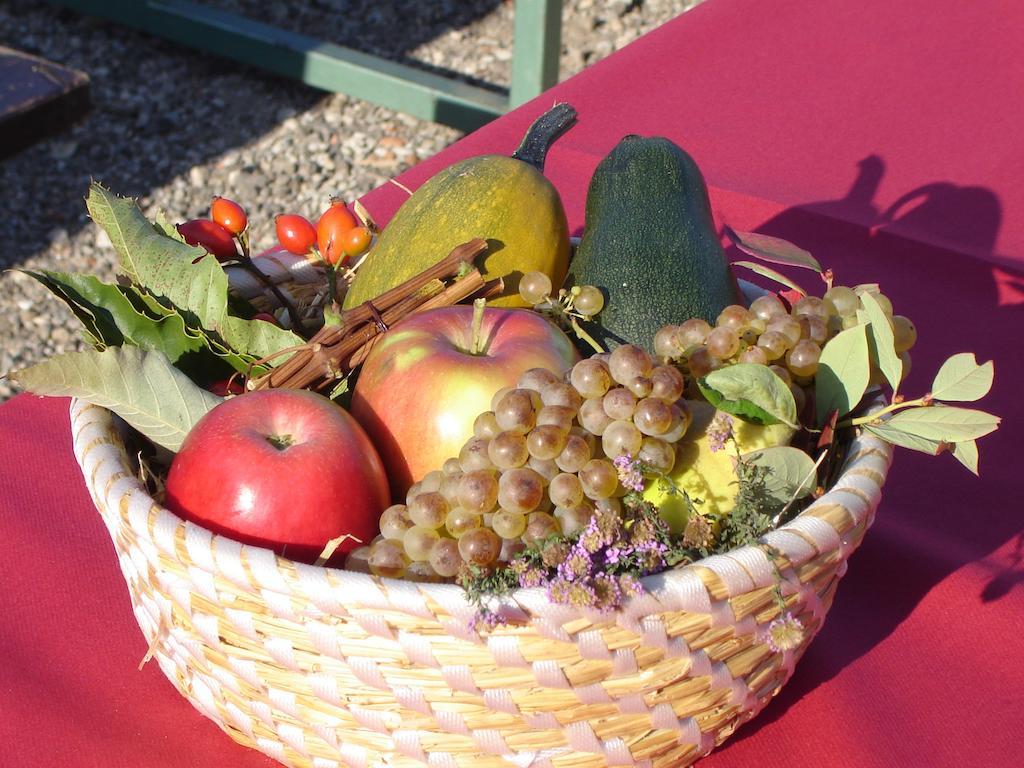 Farm Stay Jarc Vineyard Svecina Екстер'єр фото