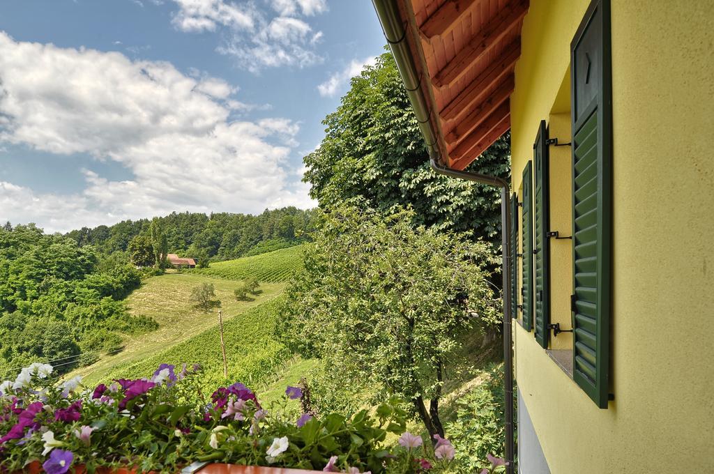 Farm Stay Jarc Vineyard Svecina Екстер'єр фото