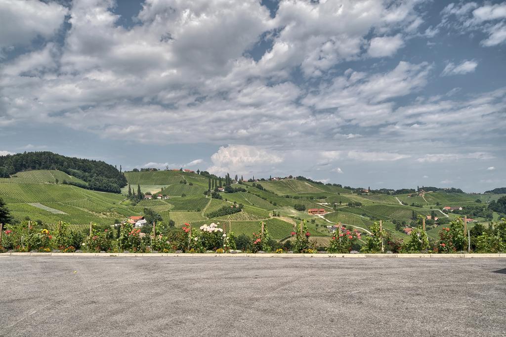 Farm Stay Jarc Vineyard Svecina Екстер'єр фото