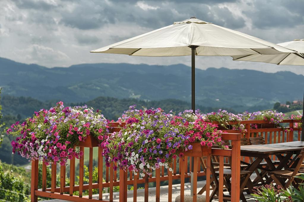 Farm Stay Jarc Vineyard Svecina Екстер'єр фото