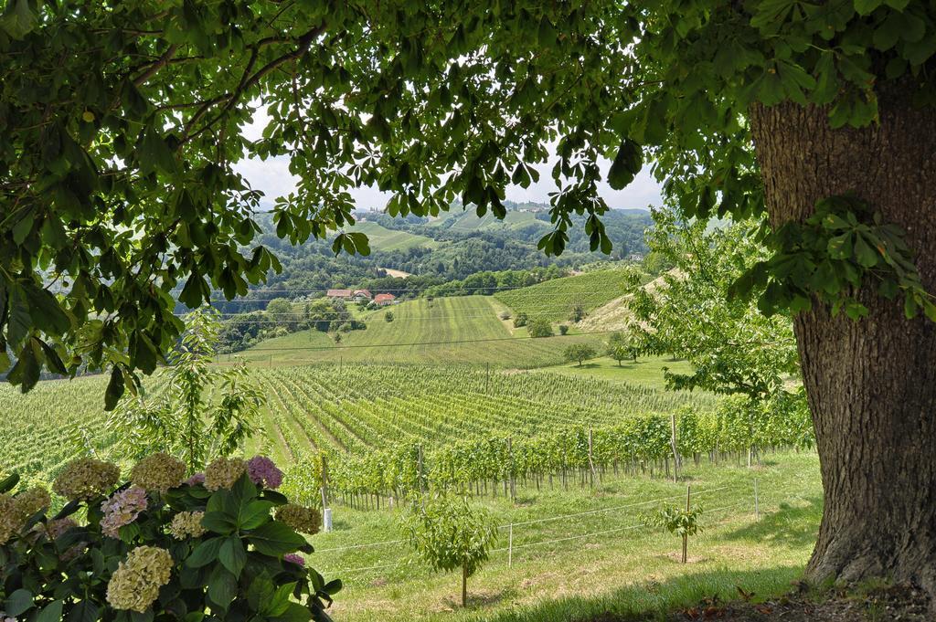 Farm Stay Jarc Vineyard Svecina Екстер'єр фото