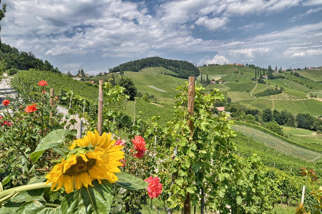 Farm Stay Jarc Vineyard Svecina Екстер'єр фото