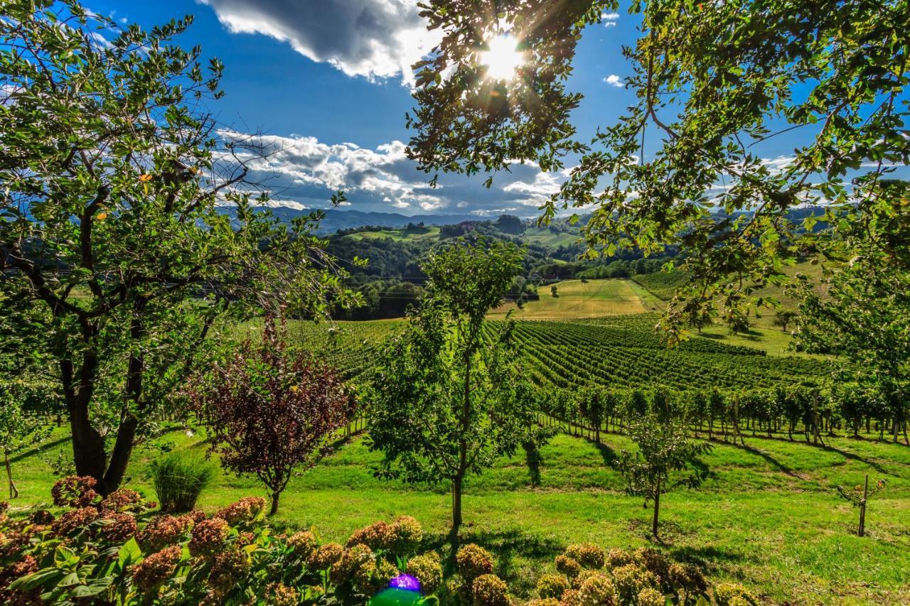Farm Stay Jarc Vineyard Svecina Екстер'єр фото